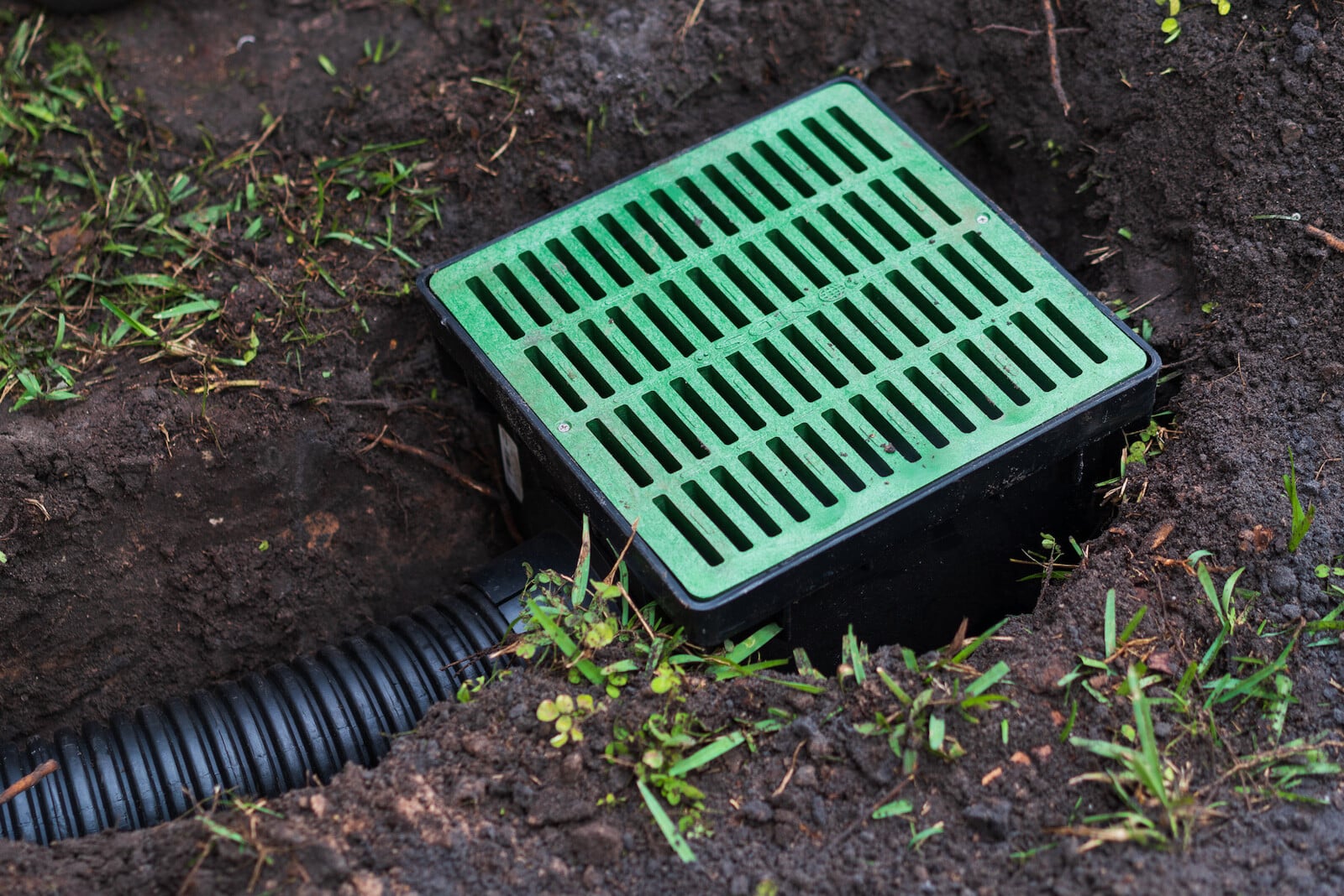 Yard drainage catch basin and drainpipe Green catch basin grate connected to a corrugated drainpipe in a yard trench
